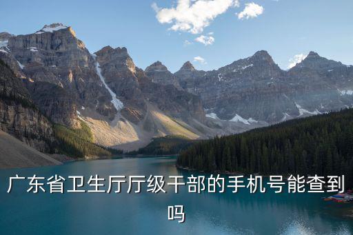 廣東省衛生廳廳級干部的手機號能查到嗎