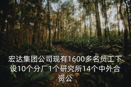 宏達集團公司現有1600多名員工下設10個分廠1個研究所14個中外合資公