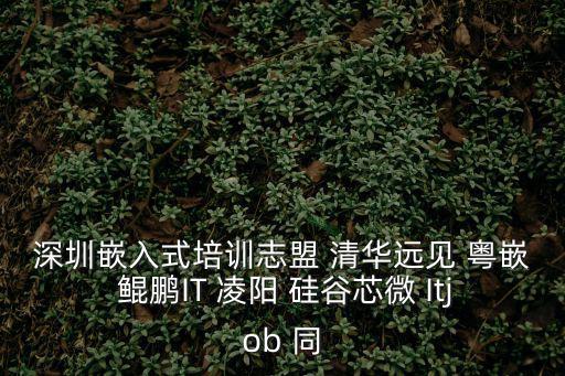 深圳嵌入式培訓志盟 清華遠見 粵嵌 鯤鵬IT 凌陽 硅谷芯微 Itjob 同