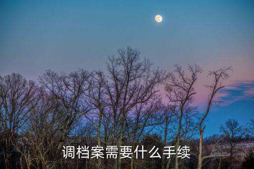 調檔案需要什么手續