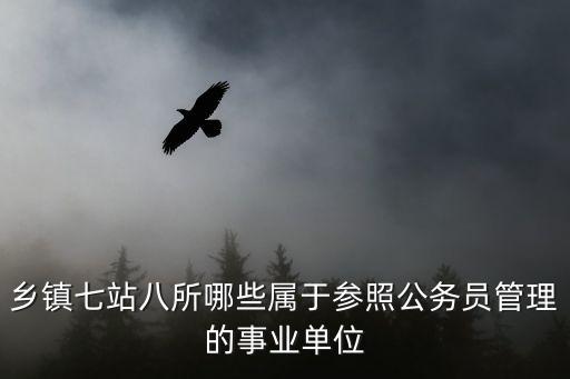 八所，鄉(xiāng)鎮(zhèn)七站八所哪些屬于參照公務(wù)員管理的事業(yè)單位