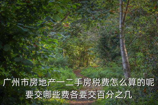 廣州市房地產一二手房稅費怎么算的呢要交哪些費各要交百分之幾