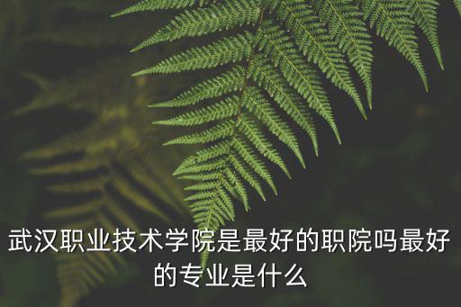 武漢職業技術，武漢職業技術學院是最好的職院嗎最好的專業是什么