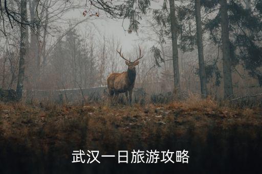 武漢一日旅游攻略