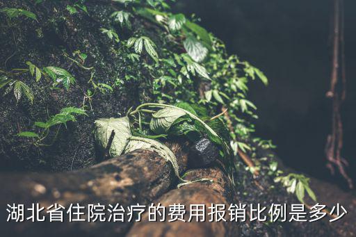 湖北省住院治療的費用報銷比例是多少