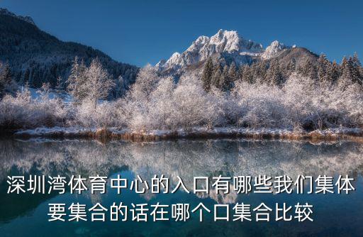深圳灣體育中心的入口有哪些我們集體要集合的話在哪個口集合比較