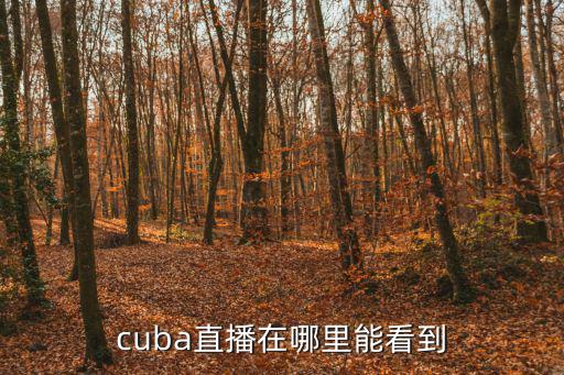 cuba直播在哪里能看到