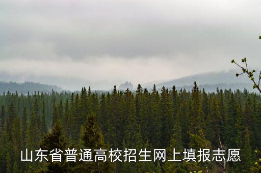 山東省普通高校招生網(wǎng)上填報(bào)志愿