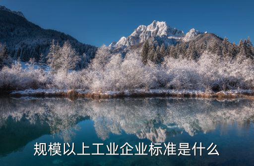 規模以上工業企業標準是什么