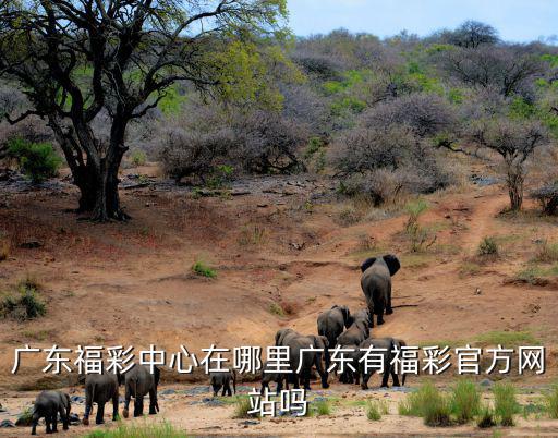 廣東福彩中心在哪里廣東有福彩官方網站嗎