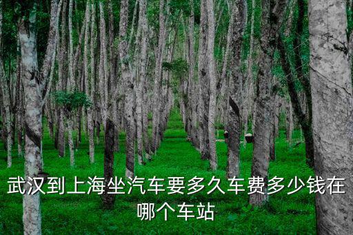 武漢到上海坐汽車要多久車費多少錢在哪個車站