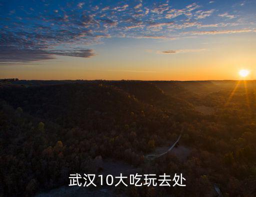 武漢10大吃玩去處