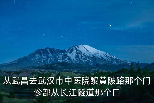 從武昌去武漢市中醫院黎黃陂路那個門診部從長江隧道那個口