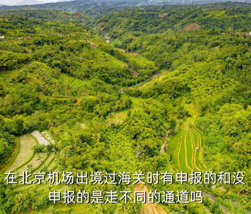 在北京機(jī)場(chǎng)出境過海關(guān)時(shí)有申報(bào)的和沒申報(bào)的是走不同的通道嗎