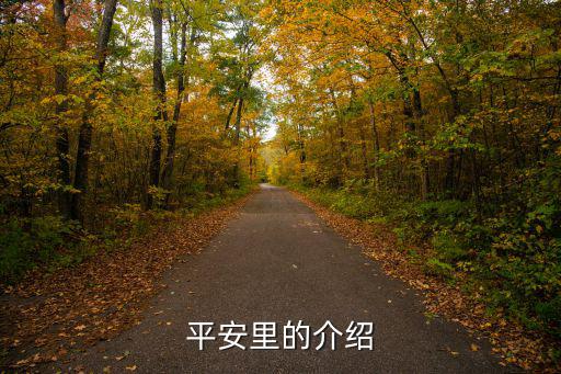 平安里的介紹