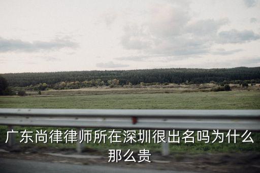廣東尚律律師所在深圳很出名嗎為什么那么貴