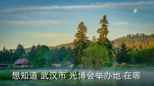 想知道 武漢市 光博會舉辦地 在哪