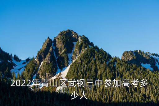 2022年青山區(qū)武鋼三中參加高考多少人