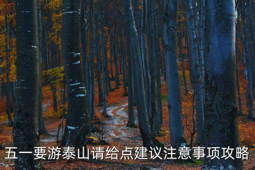 游泰山攻略，該怎么游泰山