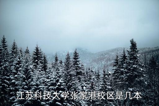 江蘇科技大學(xué)張家港，江蘇科技大學(xué)張家港校區(qū)的物流管理專業(yè)咋樣