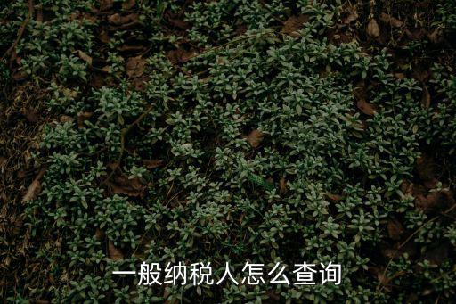 一般納稅人查詢網，一般納稅人資格網上查詢要怎樣操作