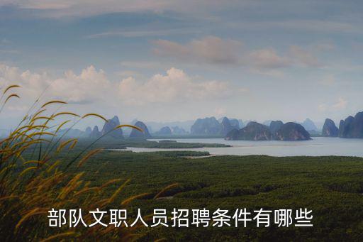 部隊文職人員招聘條件有哪些