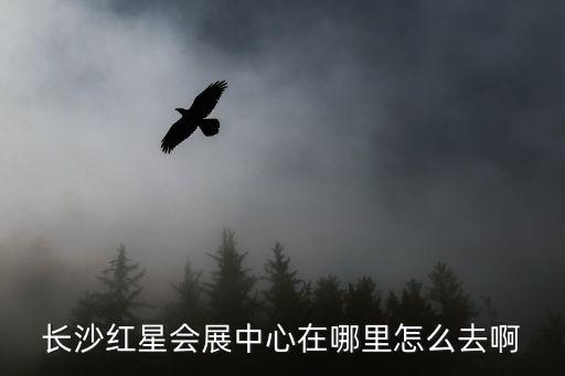 長沙紅星會展中心在哪里怎么去啊