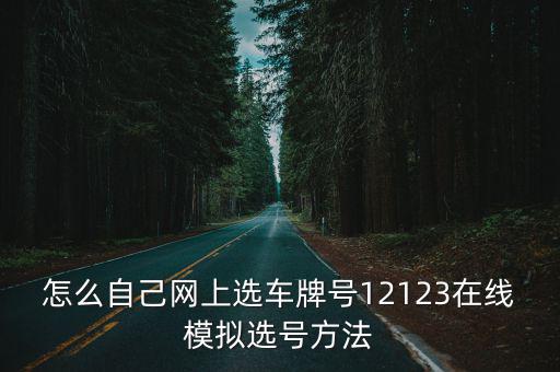 怎么自己網上選車牌號12123在線模擬選號方法