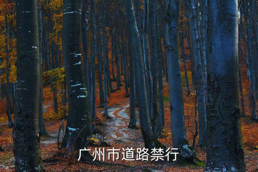 廣州市道路禁行