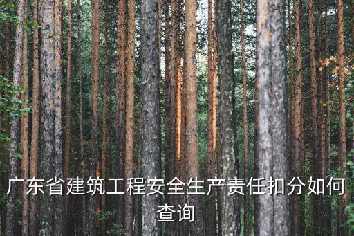 廣東省建設信息網，廣東建筑人才網的網址是哪一個