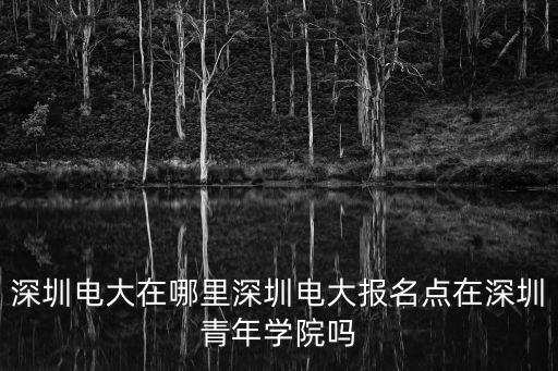 深圳電大在哪里深圳電大報名點在深圳青年學院嗎