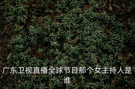 廣東衛視直播，廣東衛視直播全球節目那個女主持人是誰