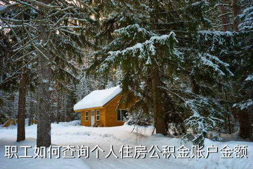 職工如何查詢個(gè)人住房公積金賬戶金額