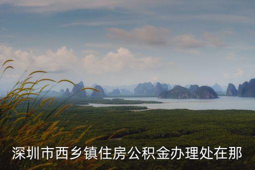 深圳市西鄉(xiāng)鎮(zhèn)住房公積金辦理處在那