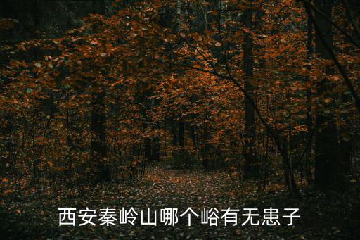 紫閣峪，西安秦嶺山哪個(gè)峪有無(wú)患子