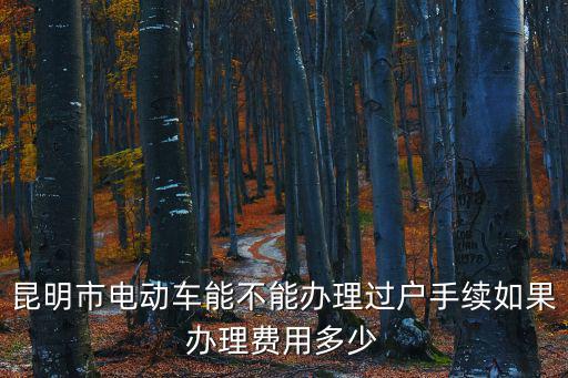 昆明市電動車能不能辦理過戶手續如果辦理費用多少