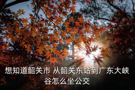 想知道韶關市 從韶關東站到廣東大峽谷怎么坐公交
