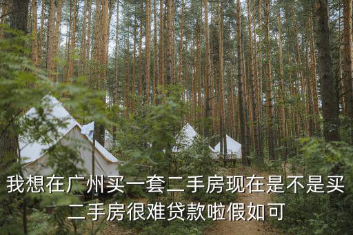 我想在廣州買一套二手房現(xiàn)在是不是買二手房很難貸款啦假如可