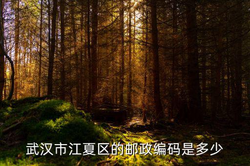 武漢市江夏區的郵政編碼是多少