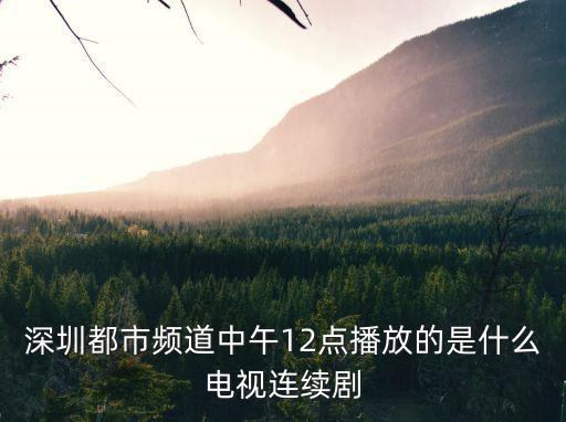 深圳都市頻道中午12點播放的是什么電視連續(xù)劇