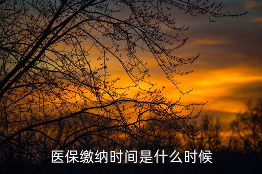 居民醫保繳費時間，醫保繳納時間是什么時候