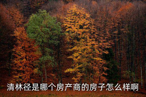 清林徑是哪個房產商的房子怎么樣啊