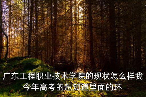 廣東工程職業技術學院的現狀怎么樣我今年高考的想知道里面的環