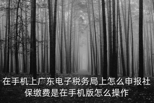 在手機上廣東電子稅務局上怎么申報社保繳費是在手機版怎么操作