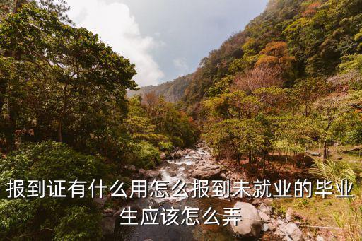 報到證有什么用，畢業生就業證明與報到證啥關系各有什么用處