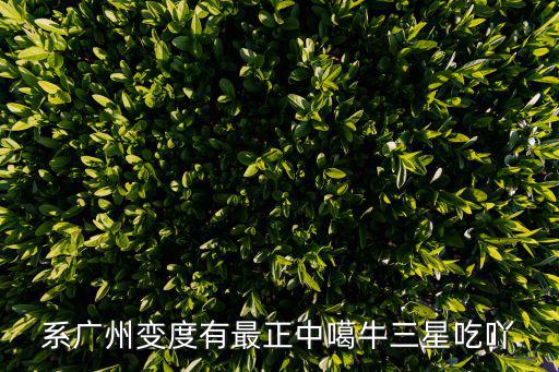 系廣州變度有最正中噶牛三星吃吖