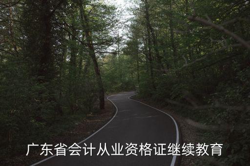 廣東省會(huì)計(jì)從業(yè)資格證繼續(xù)教育