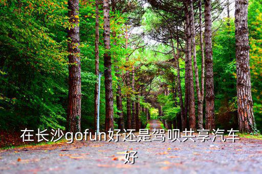 在長沙gofun好還是駕唄共享汽車好
