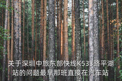 關于深圳中旅東部快線K533路平湖站的問題最早那班直接在汽車站