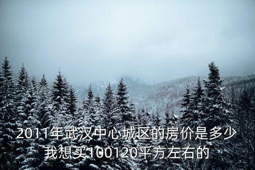 2011年武漢中心城區的房價是多少我想買100120平方左右的